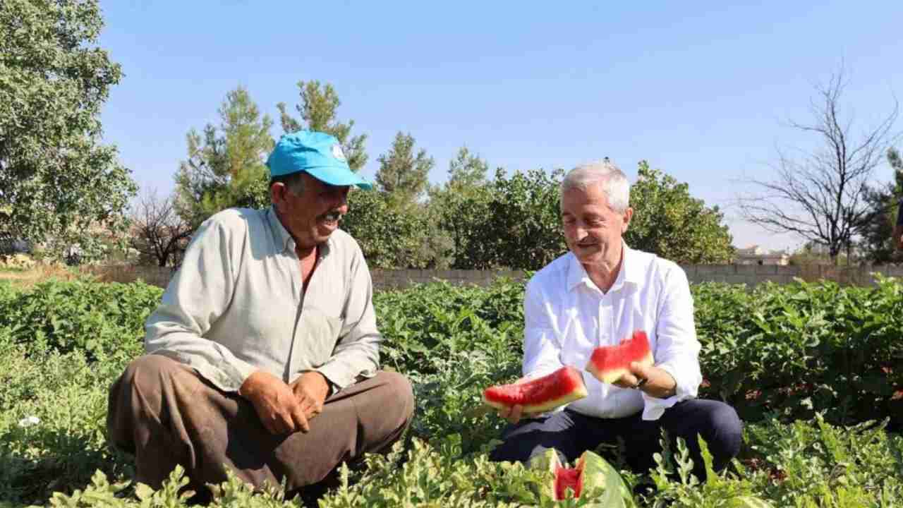 Şahinbey’den çiftçilere 53 milyon fide desteği