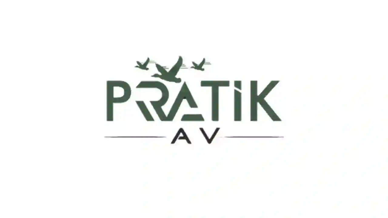 Pratik Av Havalı Tabanca Modellerinde Şarjör Kapasitesi ve Kullanım Farkları