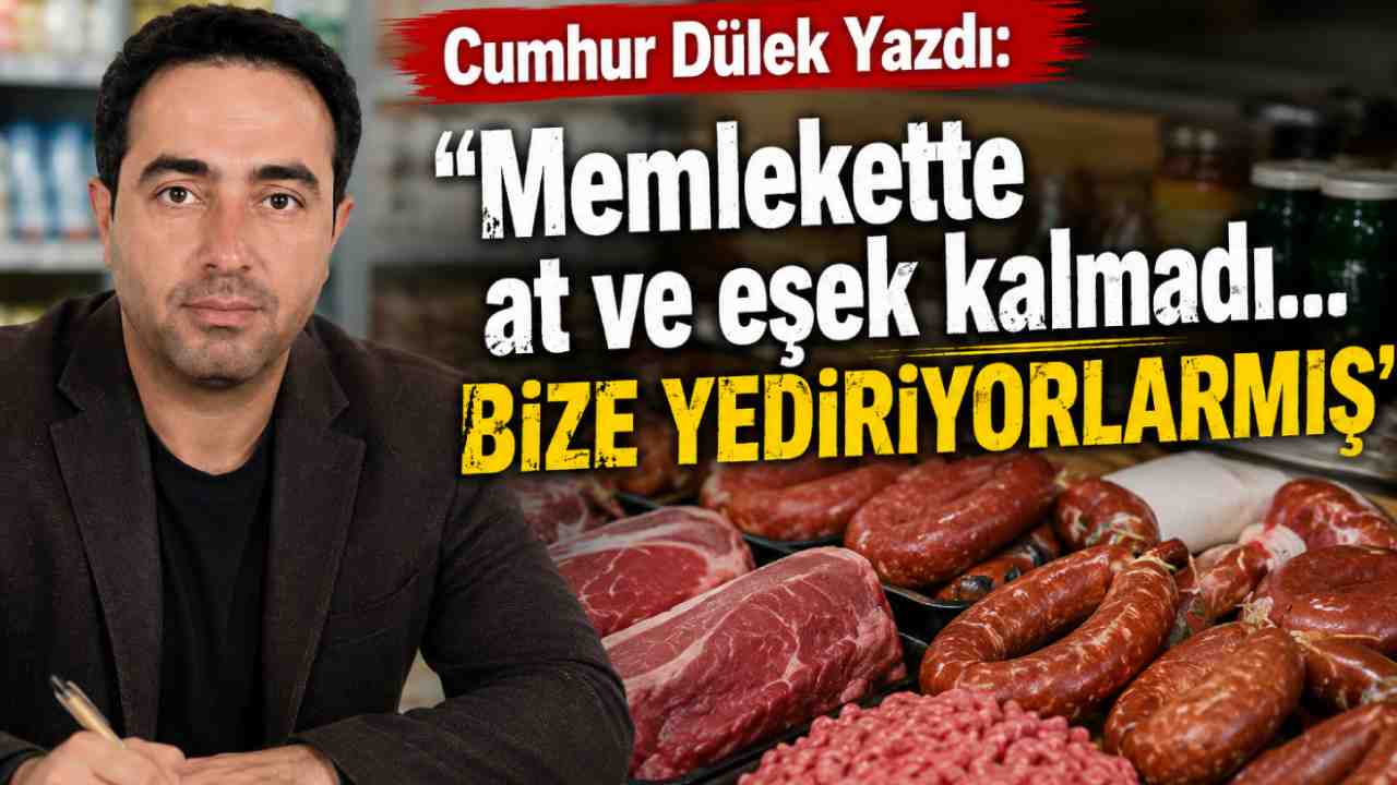 Cumhur Dülek Yazdı: “Memlekette at eşek kalmadı…”