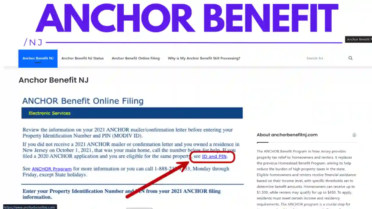 How to Complete Your ANCHOR Benefit Online Filing Without Getting Stuck