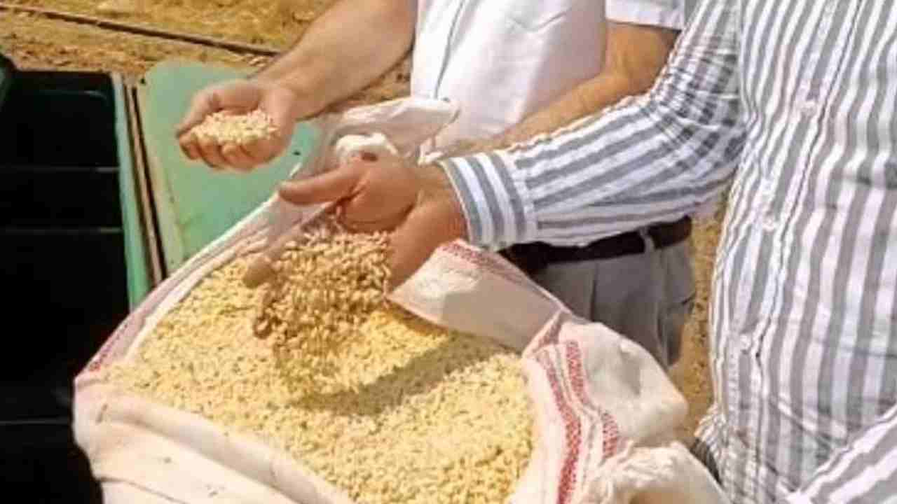 Gaziantep ve Türkiye Araban'ı Konuşuyor!