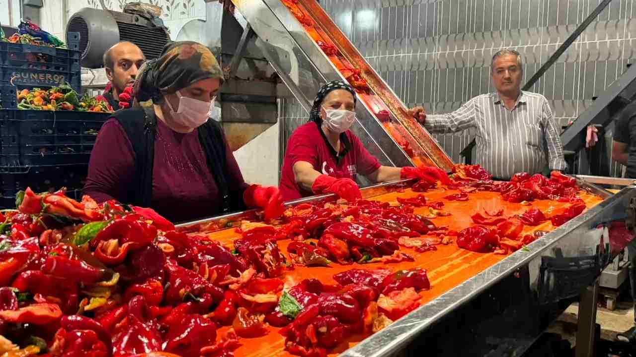 Antep Salçası Telaşına Çözüm: Savcılı Ramazan