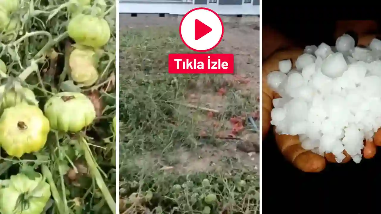 Gaziantep Sof Dağı’nda dolu felaketi! Bahçeler yok oldu, köylü çaresiz: İşte son durum