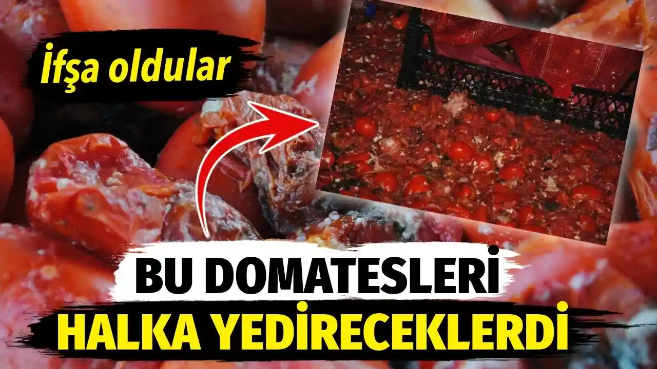 Şanlıurfa’dan Gaziantep ve Komşu İllere Salça Skandalı!