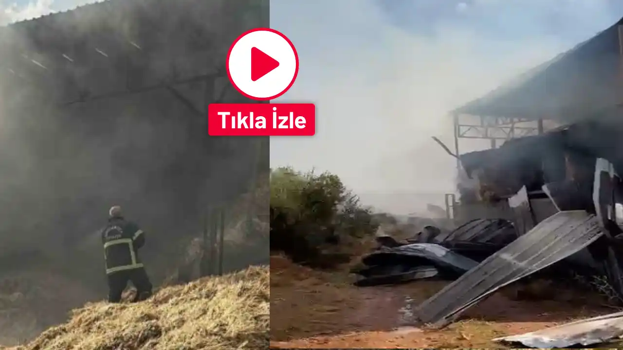 Gaziantep'te Yılların Emeği Kül Oldu! Yangın Dev Çiftliği
