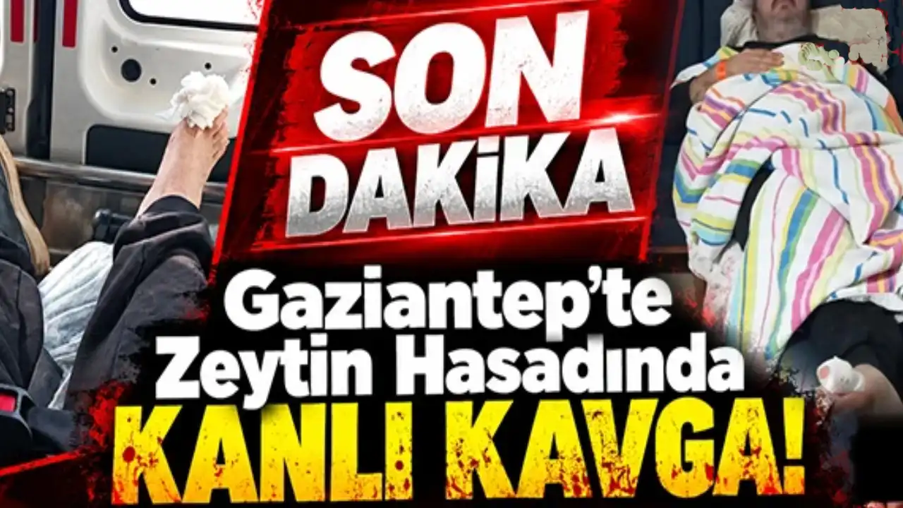 Gaziantep'te zeytinlikte kan donduran kavga: Bilgisayar mühendisini amcası vurdu