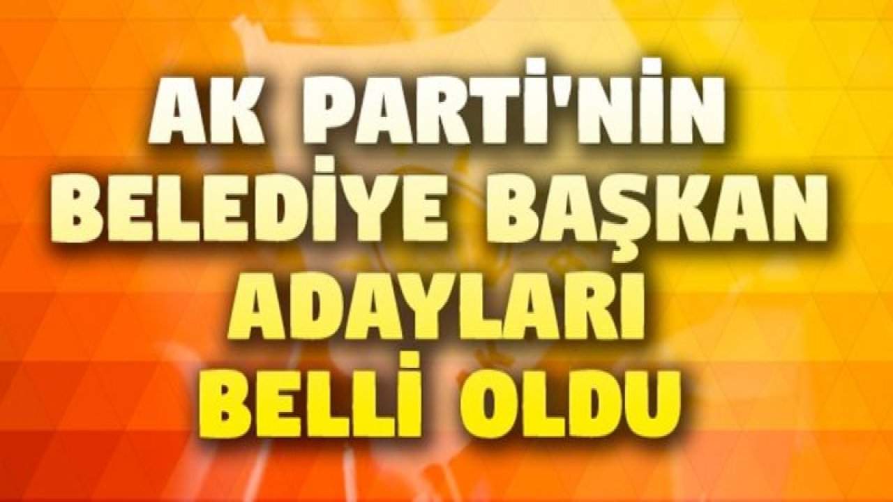 İşte AK Parti'nin adayları