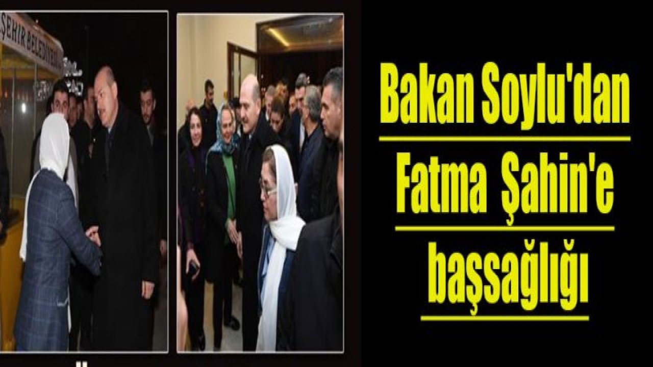 Bakan Soylu'dan Şahin'e başsağlığı