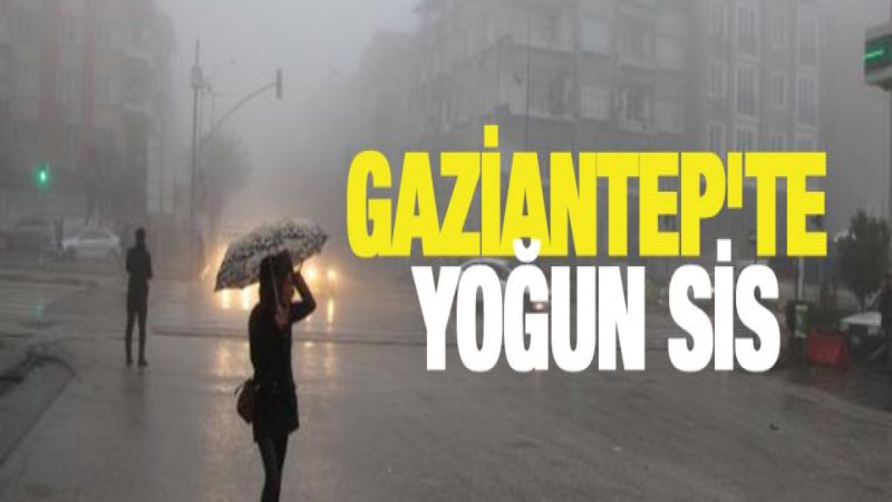 Gaziantep'te yoğun sis