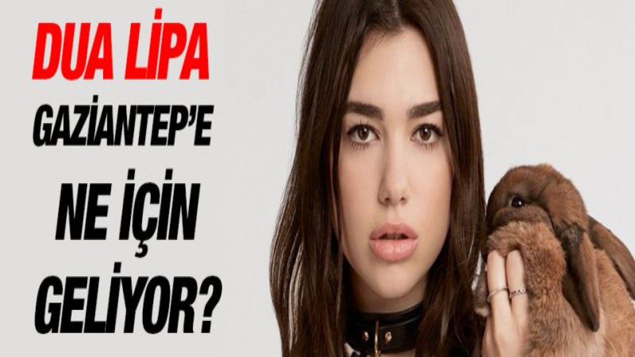 Dua Lipa Gaziantep'e ne için geliyor?