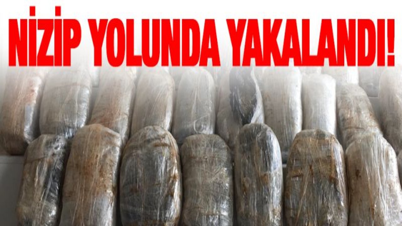 55 Kilogram Esrar Maddesi Ele Geçirildi