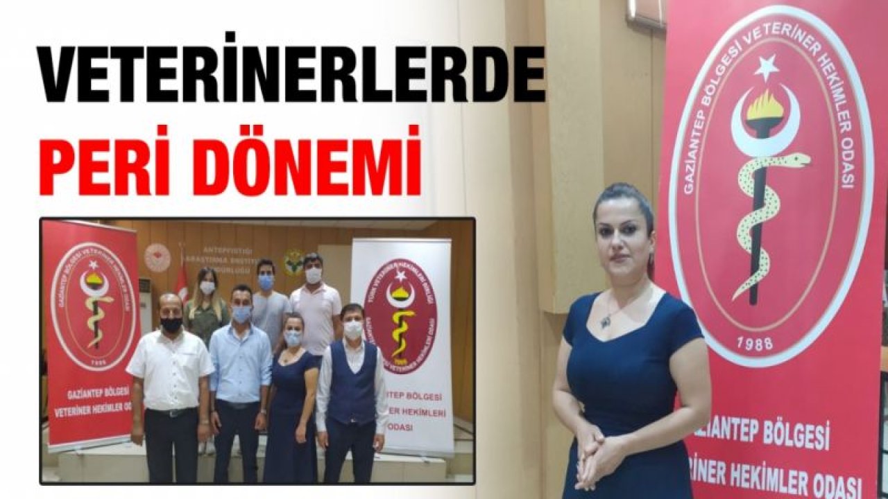 Veterinerlerde Peri dönemi