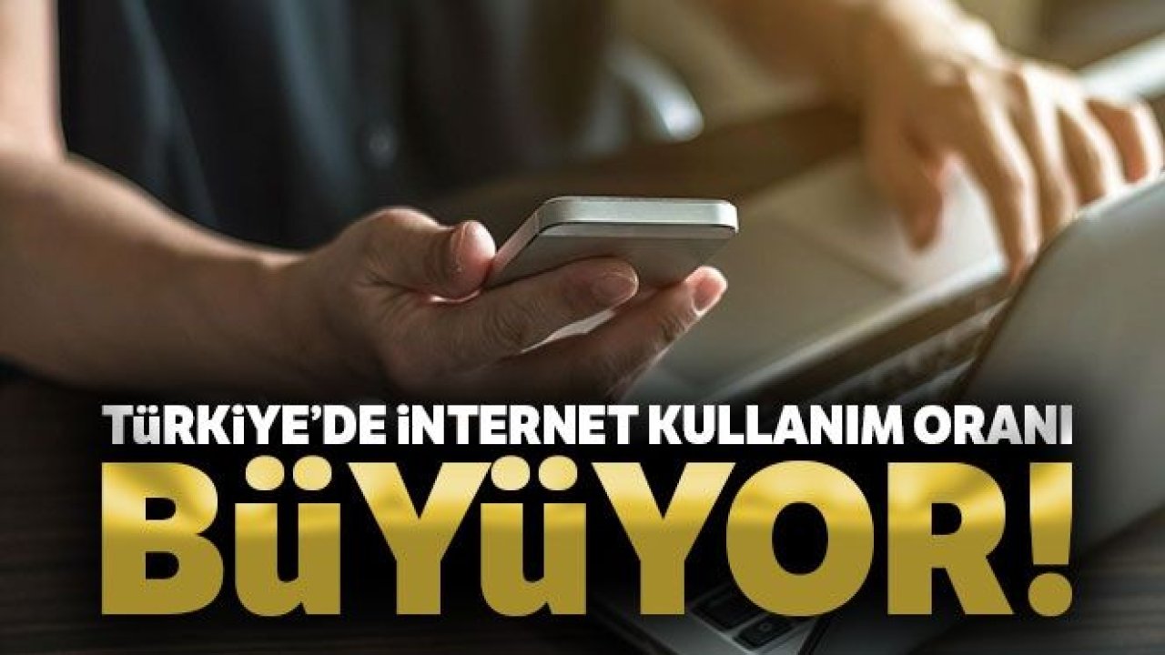Türkiye'de internete erişim oranı yüzde 88 oldu