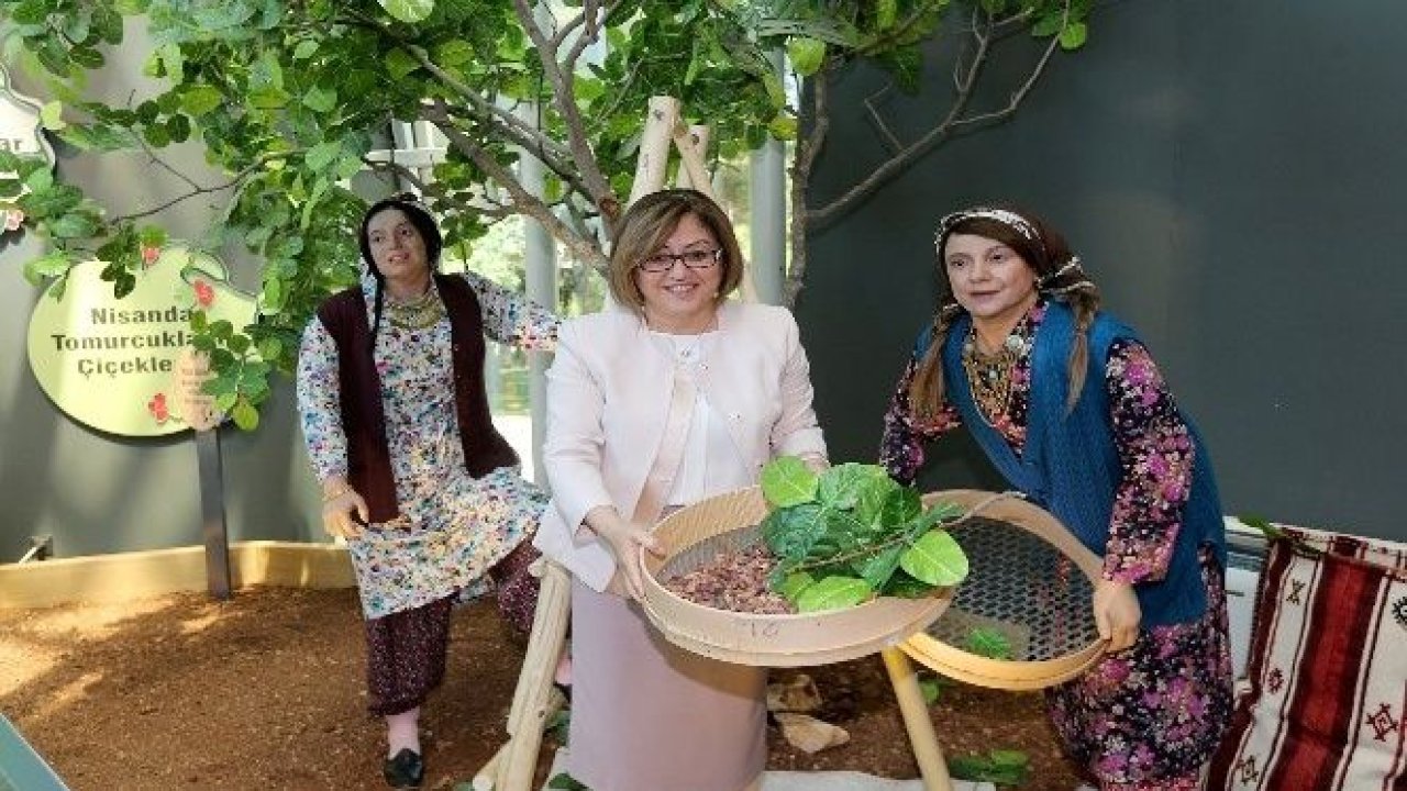 Müzeler Şehri Gaziantep'in bir müzesi daha ödülle taçlandı