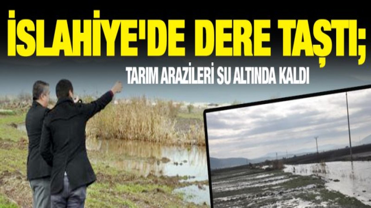 İslahiye'de dere taştı; tarım arazileri su altında kaldı