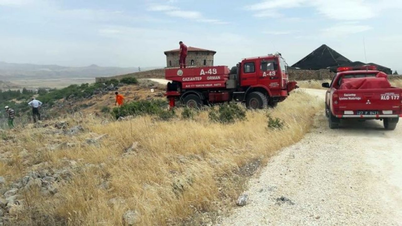 Nurdağı'nda orman yangını