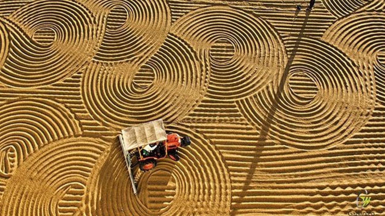 Hasat mevsiminin en güzel fotoğrafları ödüllendirildi