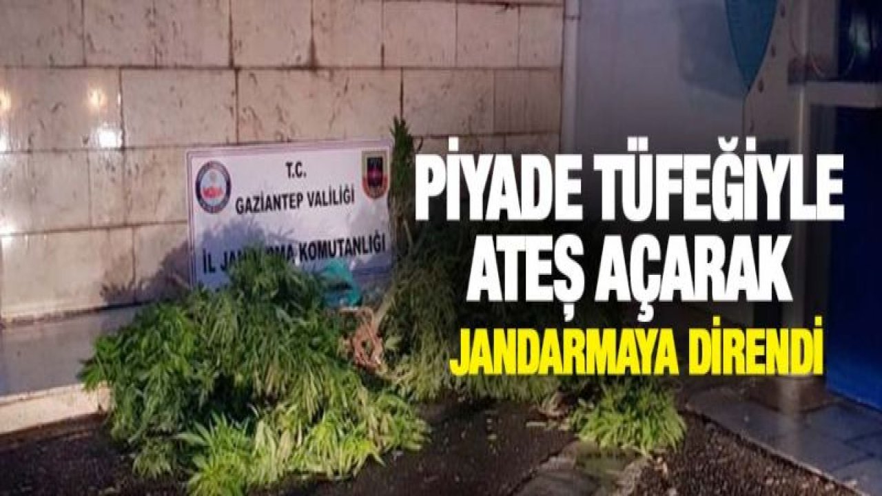 Piyade tüfeğiyle ateş açtı! Direndi