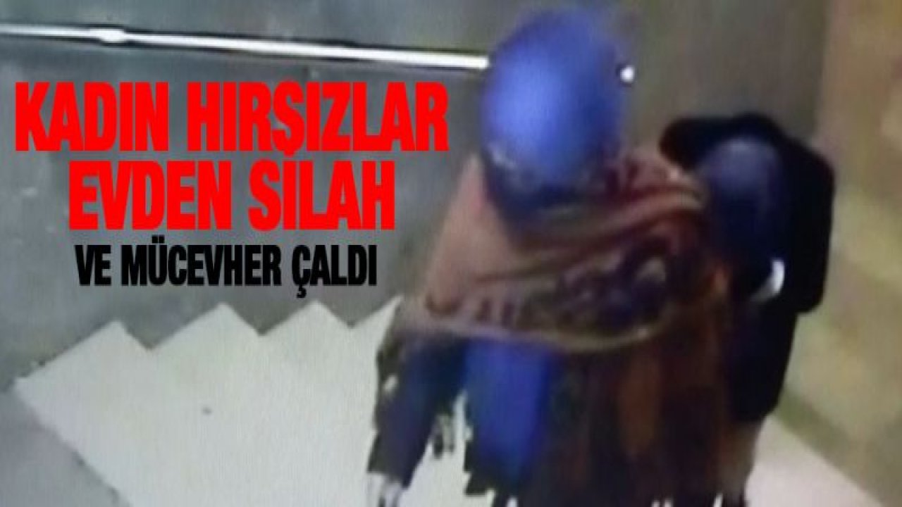 Sosyetik hırsızlar kamerada