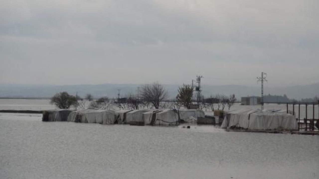 Hatay'da sağanakla Amik Ovası sular altında kaldı