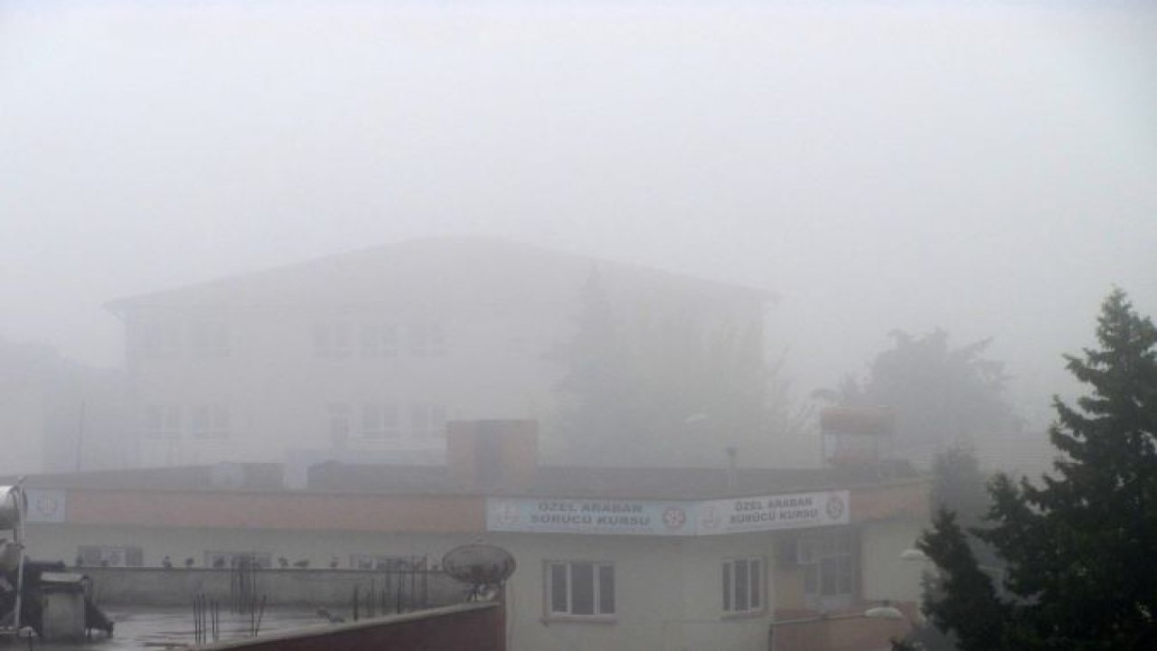 Araban'da yoğun sis