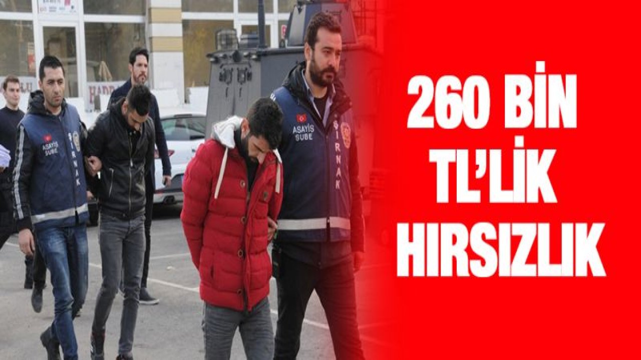 Cizre ve Silopi'de tır ve çekicilerden 260 bin TL'lik hırsızlık yapan 2 şahıs tutuklandı