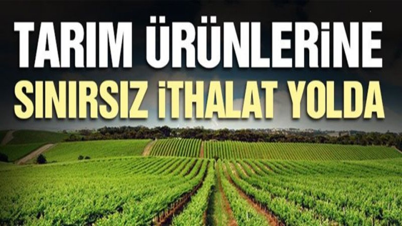 Tarım ürünlerine sınırsız ithalat yolda