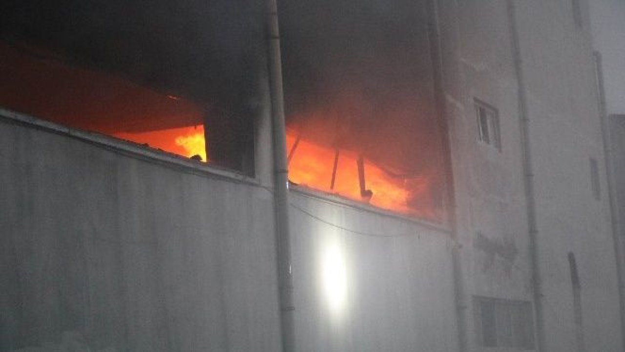 Organizedeki yangın kontrol altına alındı