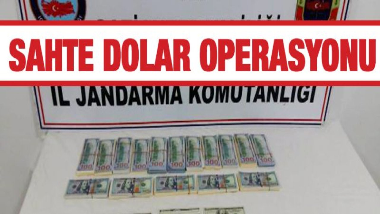 İslahiye'de sahte dolara 5 gözaltı