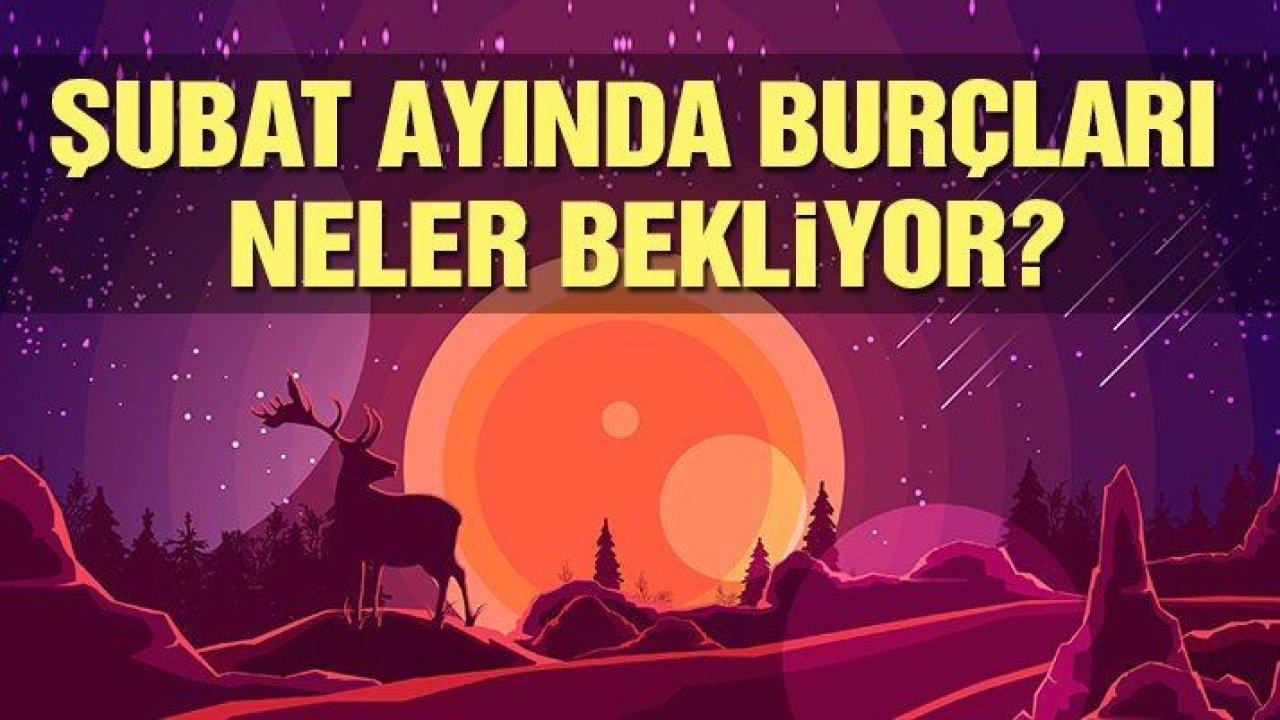 Şubat ayı analizleri: Burçları neler bekliyor?