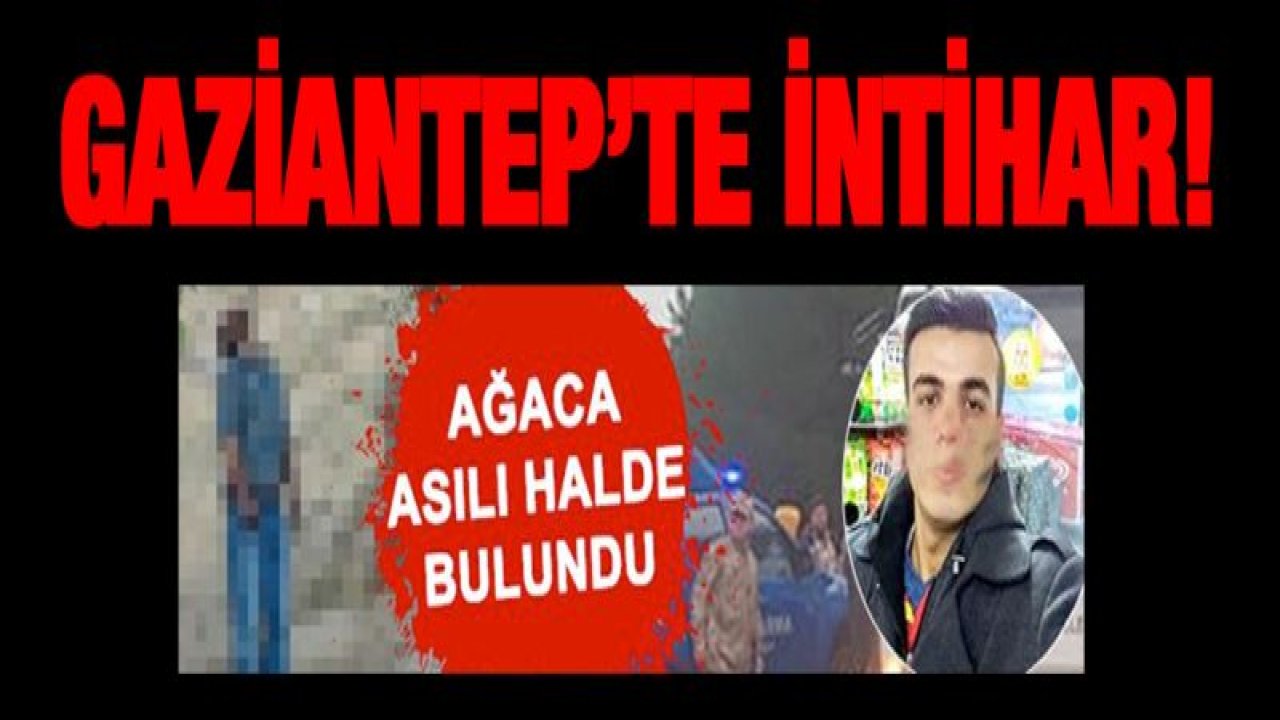 Ağaçta asılı bulundu! Şok intihar