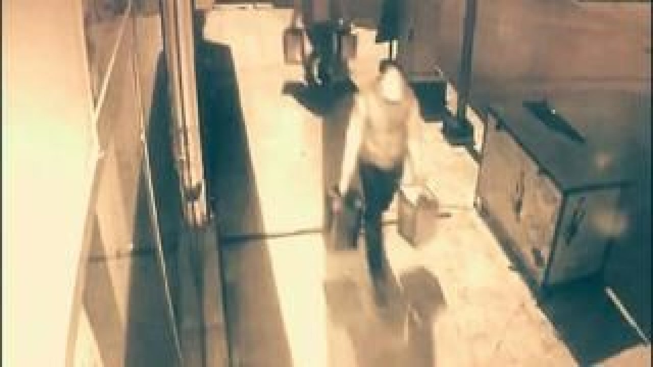 Zeytinyağı hırsızlığına 4 tutuklama