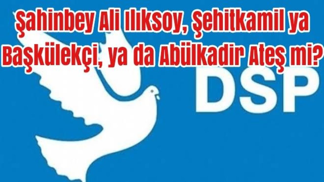 Celal Doğan DSP adayı oluyor
