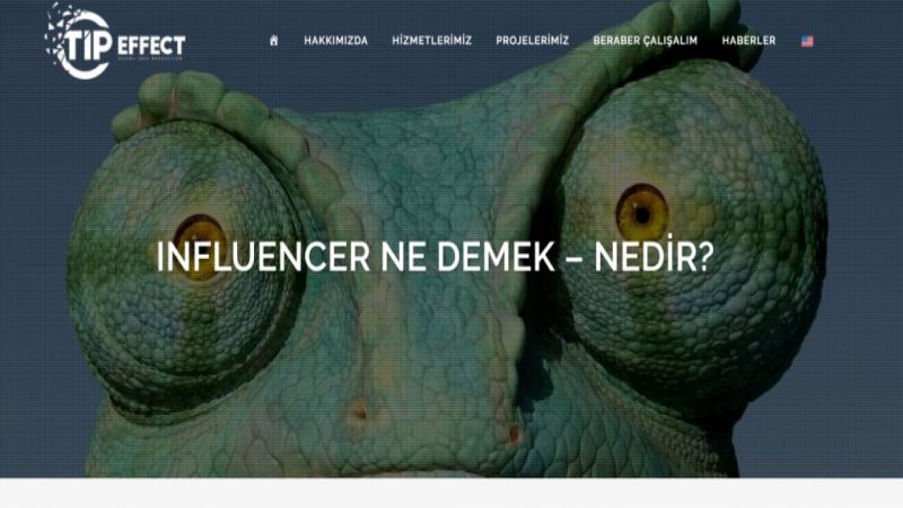 Influencer Nedir?