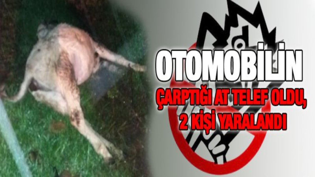 Otomobilin çarptığı at telef oldu, 2 kişi yaralandı