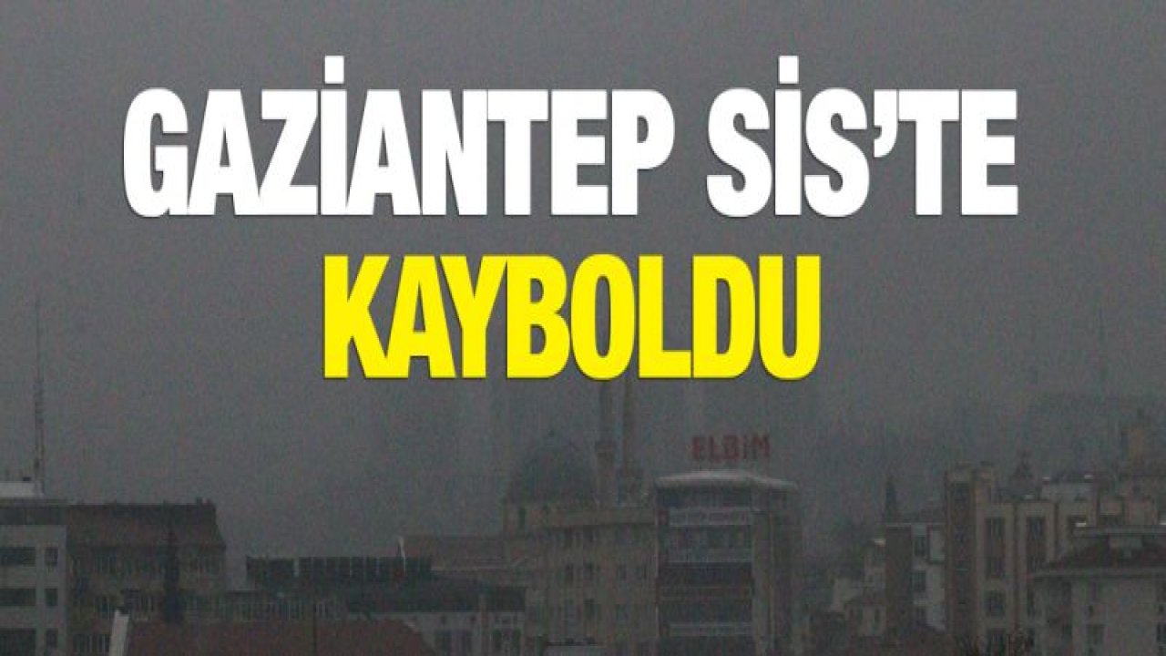 Gaziantep'te yoğun sis