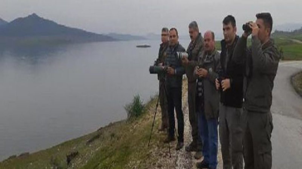 Tahtaköprü Barajında su kuşu sayımı yapılıyor