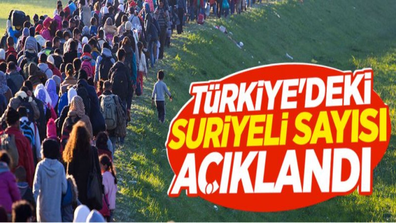 Türkiye'deki Suriyeli sayısı bir önceki aya göre 17 bin 602 kişi arttı