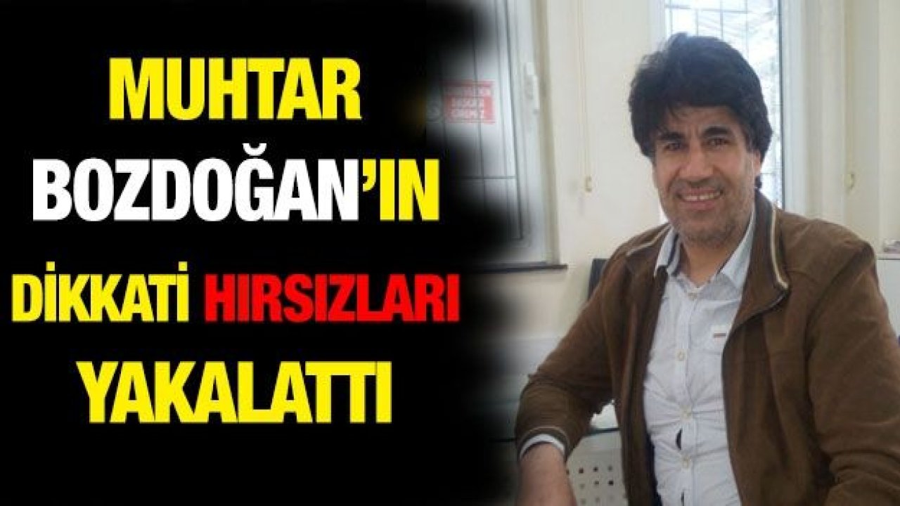 Duyarlı Muhtar Kartal Bozdoğan,Koyun Hırsızlarını Yakalattı