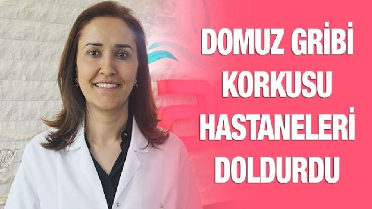 Domuz gribi korkusu hastaneleri doldurdu