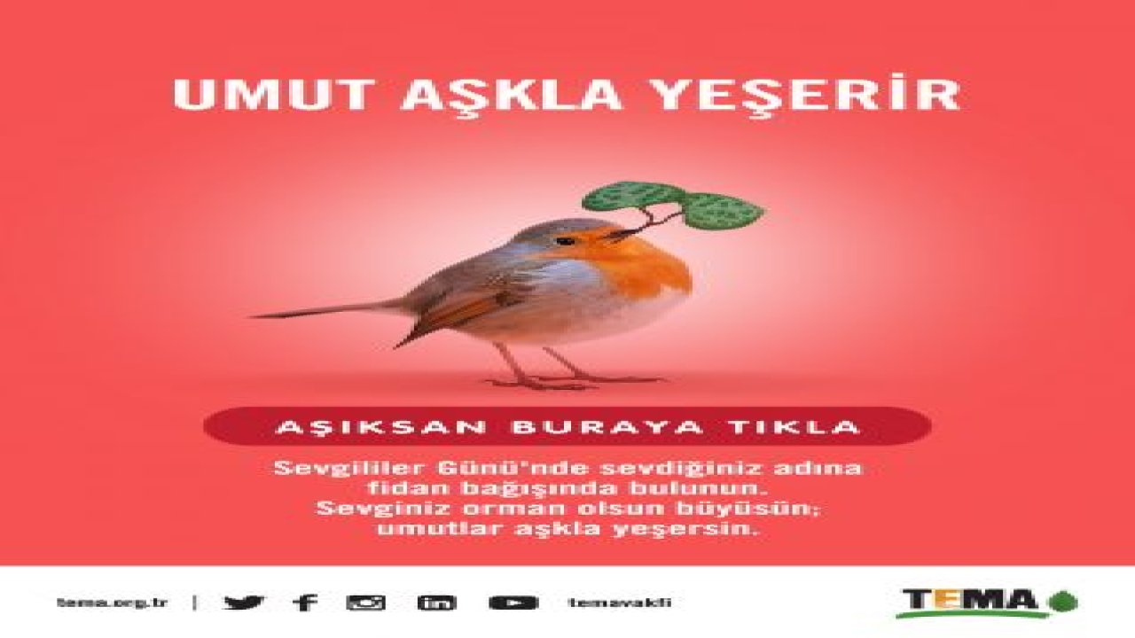 Sevgiliye hediye TEMA Vakfı'ndan fidan bağışı olsun