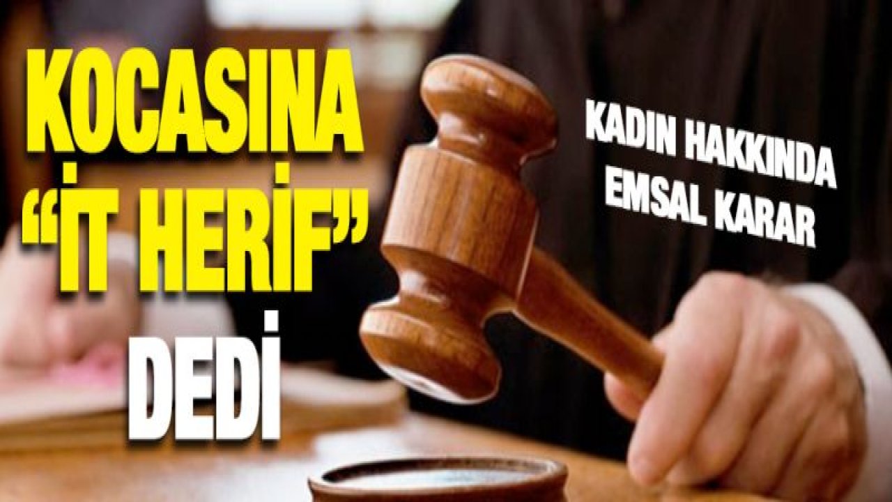 Kocasına 'İt herif' diyen kadın hakkında emsal karar