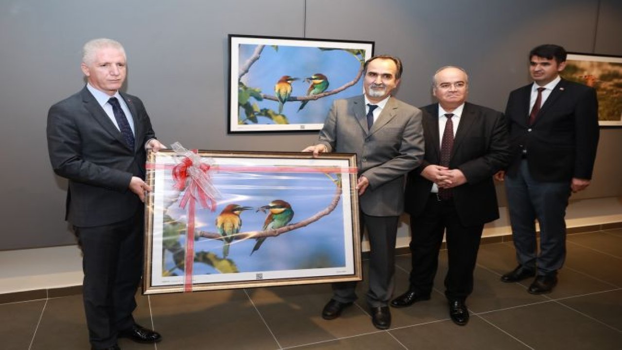 Gaziantep'in kuşları ŞSM'de görücüye çıktı