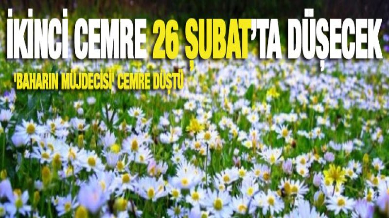 'Baharın müjdecisi' cemre düştü