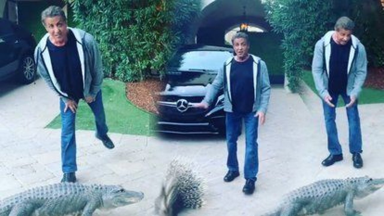 Sylvester Stallone: Rambo'nun ev hayvanları