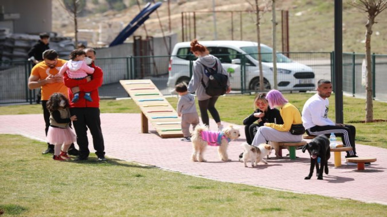 Gaziantep'teki evcil hayvan sahipleri Pet Park'a yoğun ilgi gösteriyor