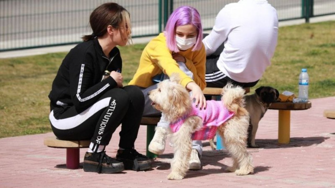 Şehitkamil’de hayvanlar için özel park