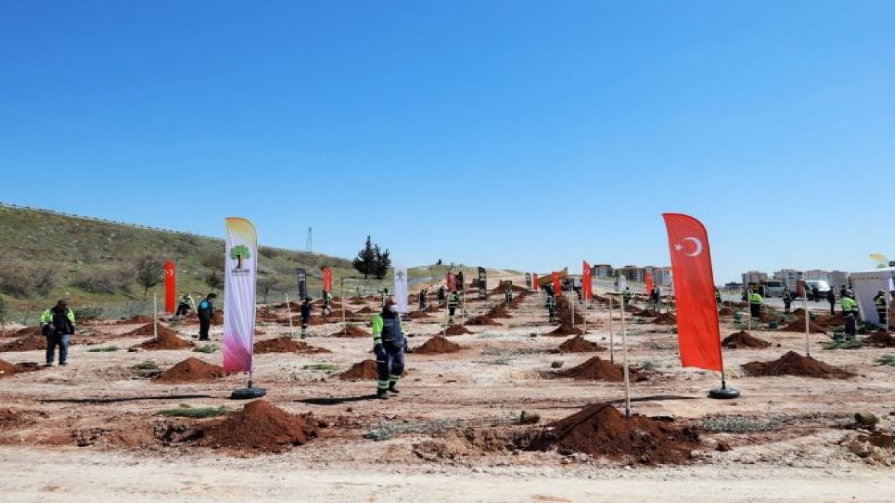Şehitkamil’de geleceğe nefes olacak fidanlar, toprakla buluşturuldu