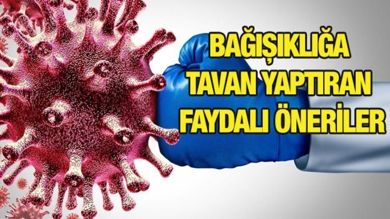 Bağışıklığa tavan yaptıran faydalı öneriler