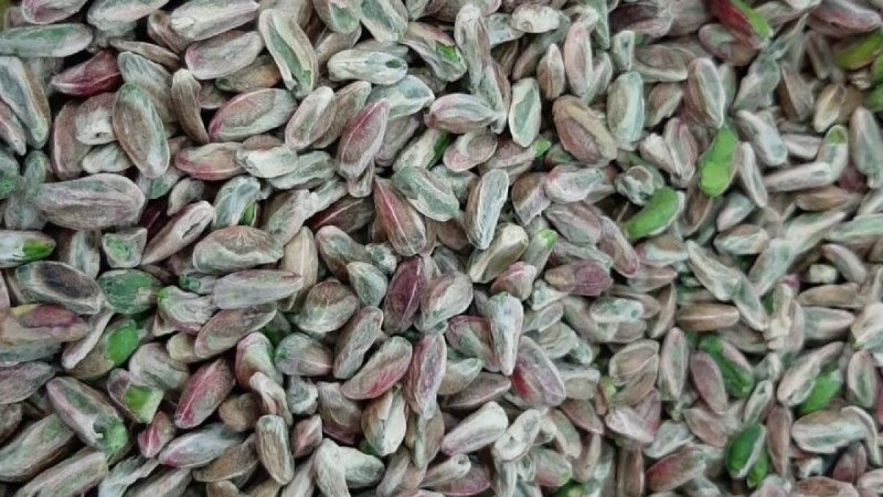 Antep fıstığında fiyatlar düşüyor